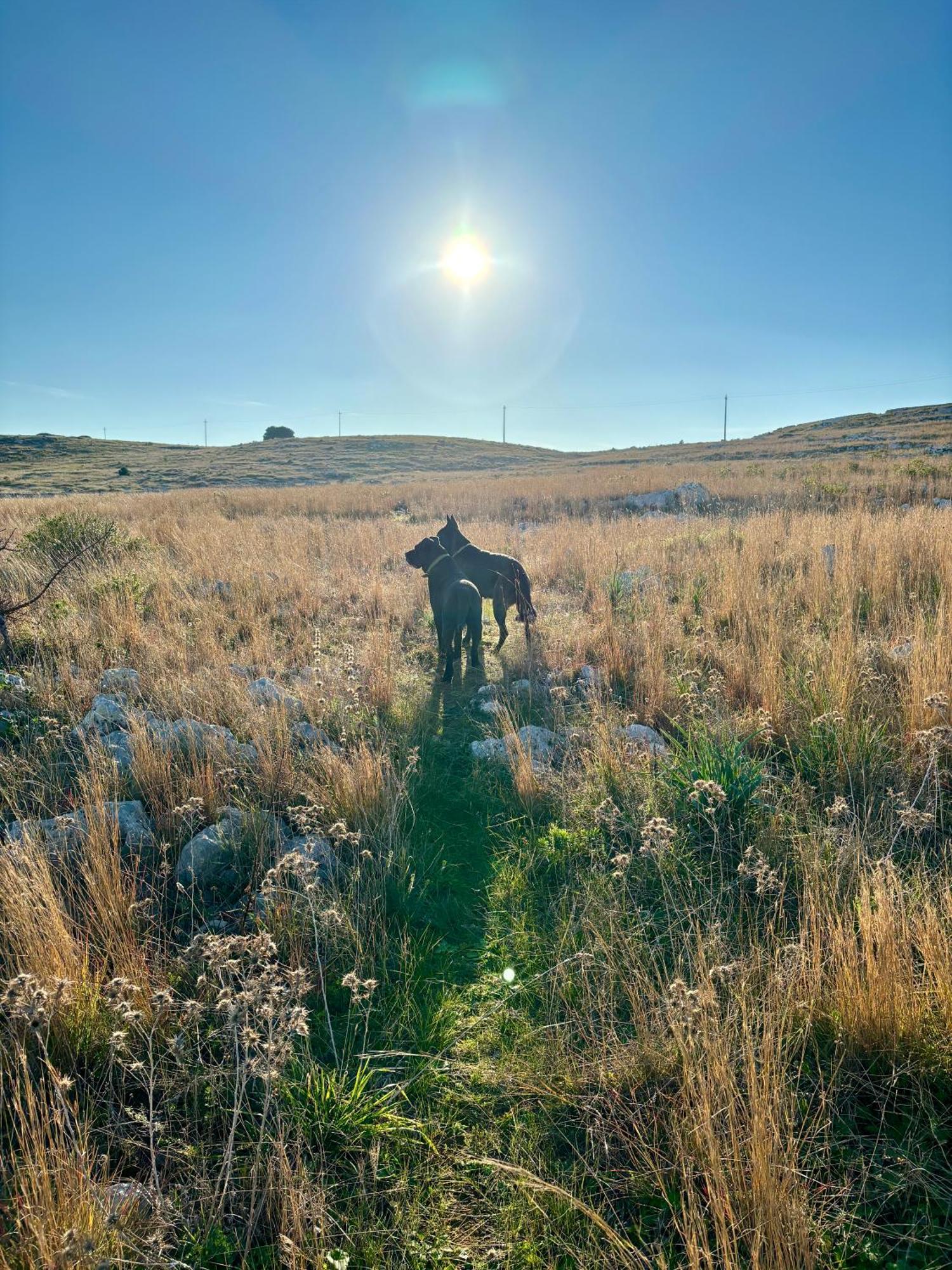 La Dimora Di Ulisse Aparthotel ซานตา เชซาเรอา แตร์เม ภายนอก รูปภาพ