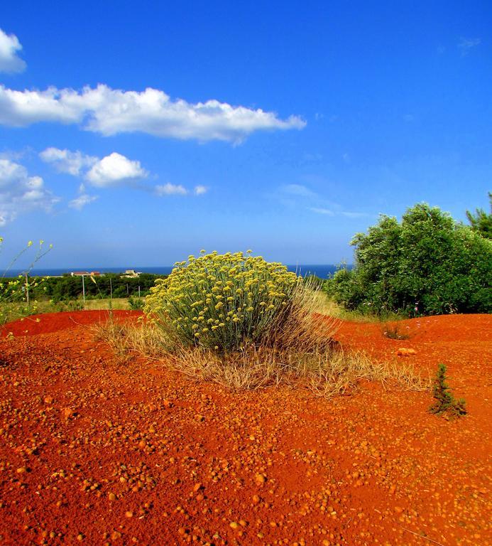 La Dimora Di Ulisse Aparthotel ซานตา เชซาเรอา แตร์เม ภายนอก รูปภาพ